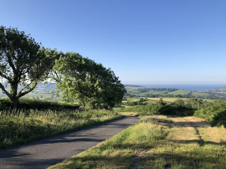 Serene Dorset coastal landscape with lush greenery, countryside and distant sea view.